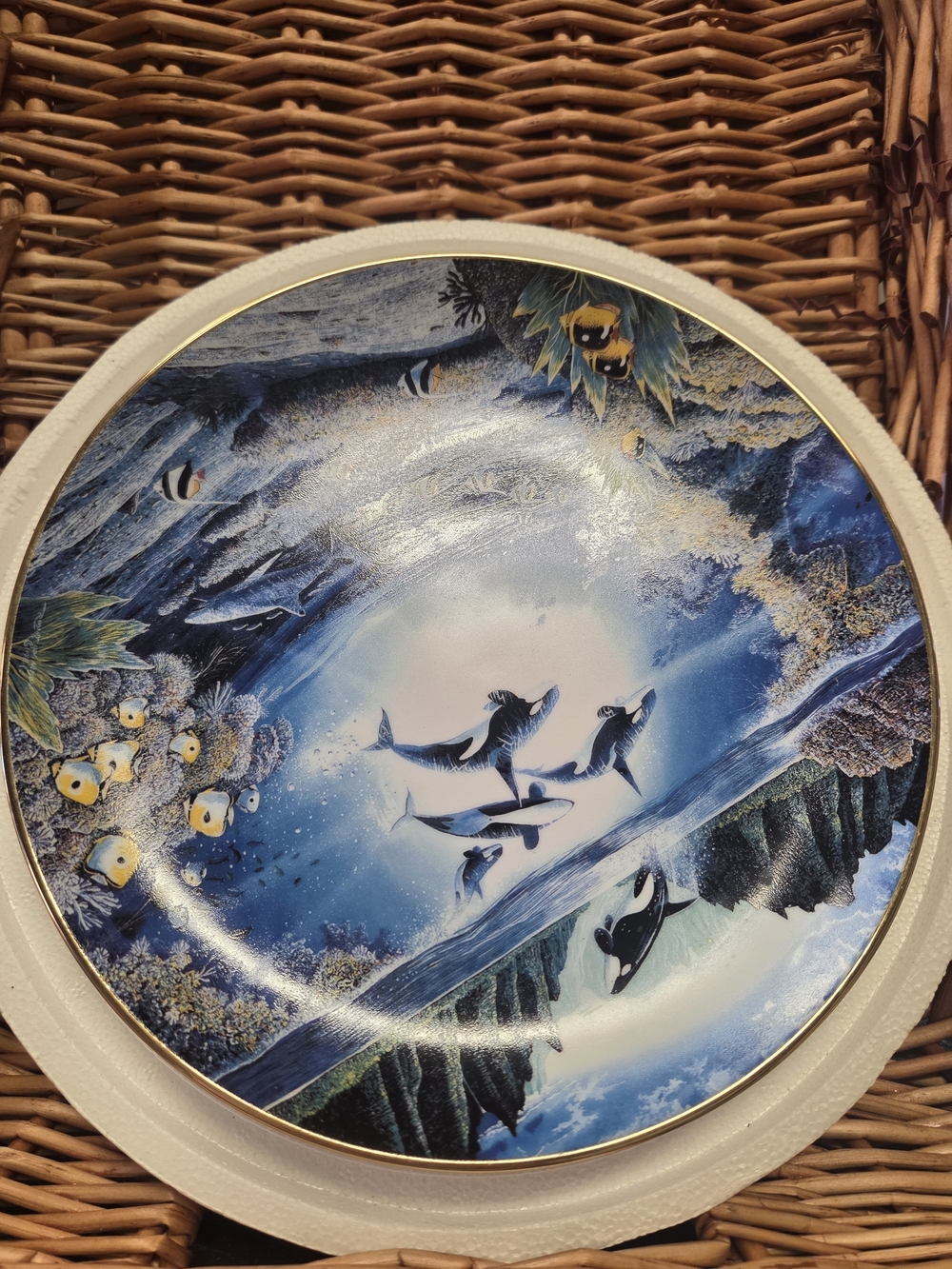 SUNLIT GLOW VINTAGE 1991 PLATE BY ROBERT LYN NELSON #P643